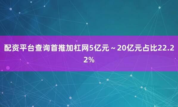 配资平台查询首推加杠网5亿元～20亿元占比22.22%
