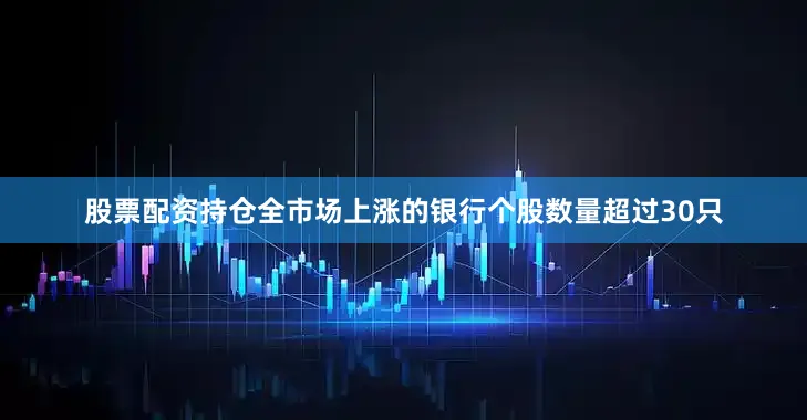 股票配资持仓全市场上涨的银行个股数量超过30只