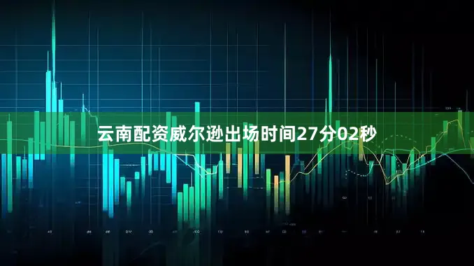 云南配资威尔逊出场时间27分02秒
