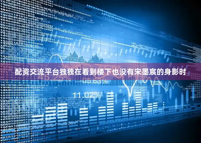 配资交流平台独独在看到楼下也没有宋墨宸的身影时